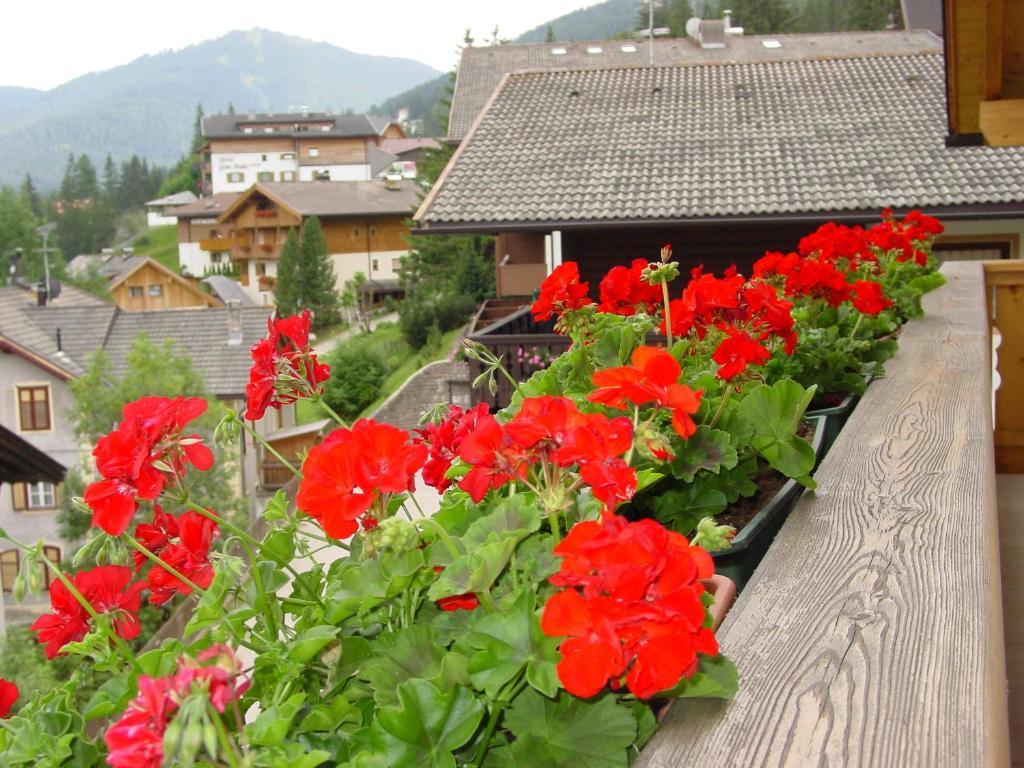 Ciasa Rudiferia Appartamenti In Alta Badia Экстерьер фото