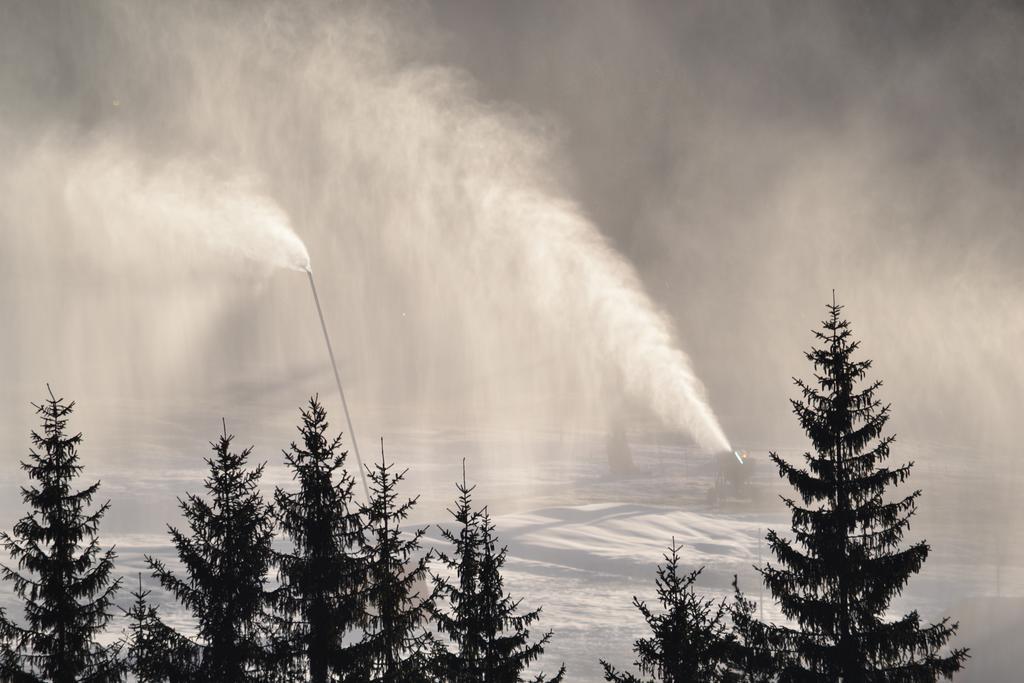 Ciasa Rudiferia Appartamenti In Alta Badia Экстерьер фото